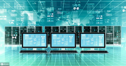 数据、信息与数据处理服务 数字化时代的核心概念